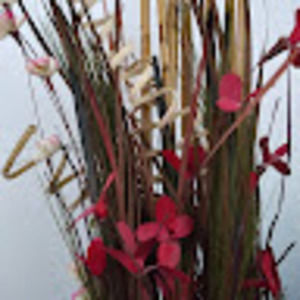 Meet your Posher, Amparo